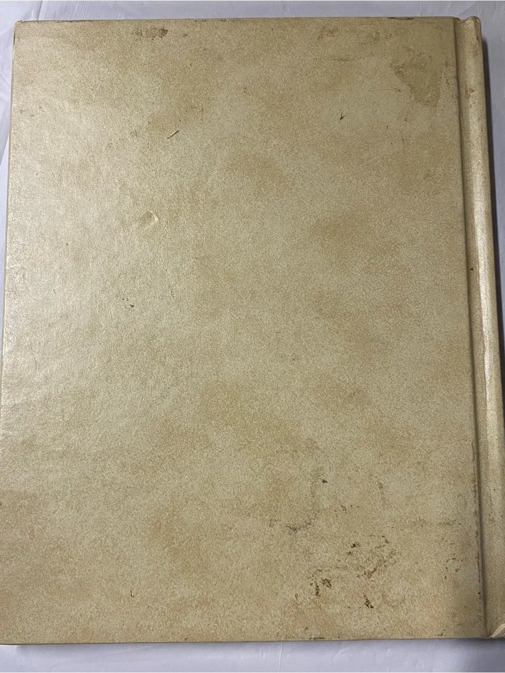 Illustrated World War II Encyclopedia - Gold & Red Hardcover